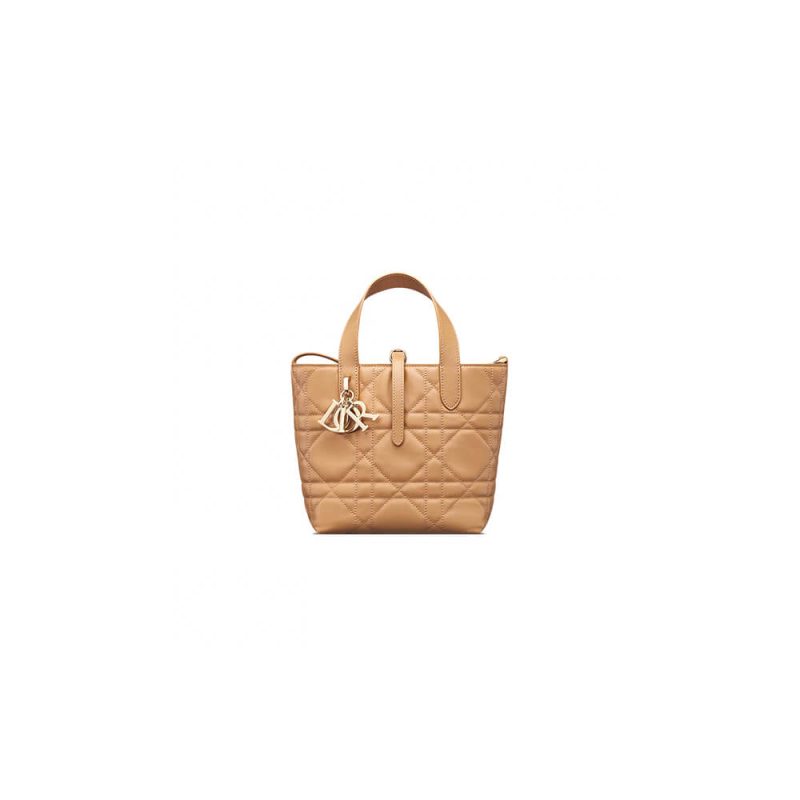 Small Dior Toujours Vertical Tote Bag