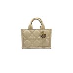 Mini Dior Book Tote