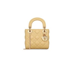 Mini Lady Dior Bag “High-end grade”