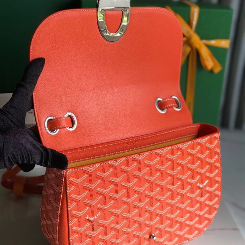 Goyard 233 bag - Image 6