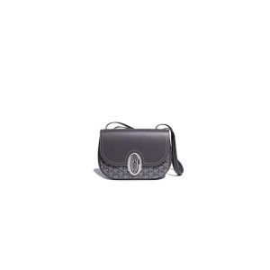 Goyard 233 bag