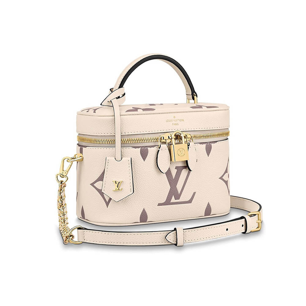 Louis Vuitton VANITY PM BAG 1 Louis Vuitton VANITY PM BAG