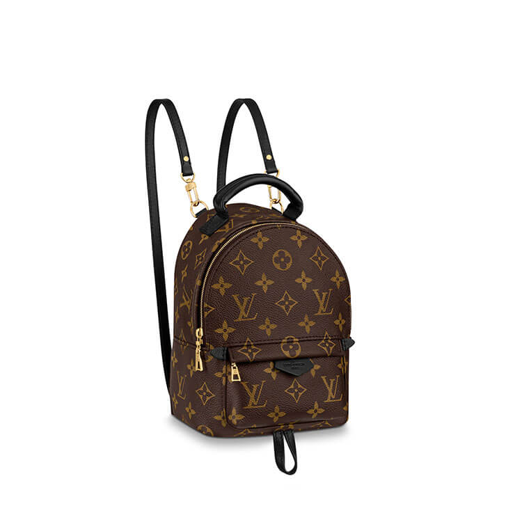 LV Palm Springs Mini Backpack 1 LV Palm Springs Mini Backpack