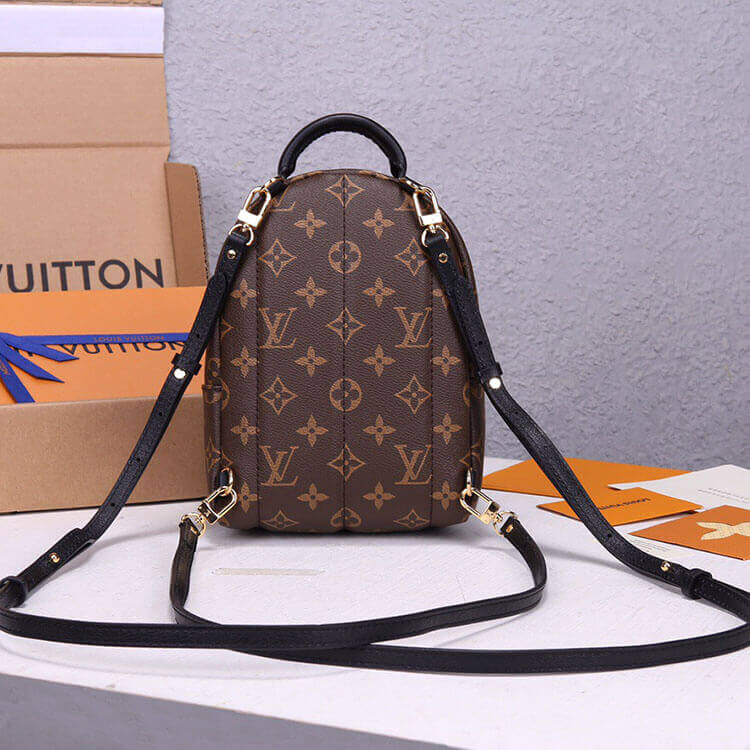 LV Palm Springs Mini Backpack 3 LV Palm Springs Mini Backpack - Image 3