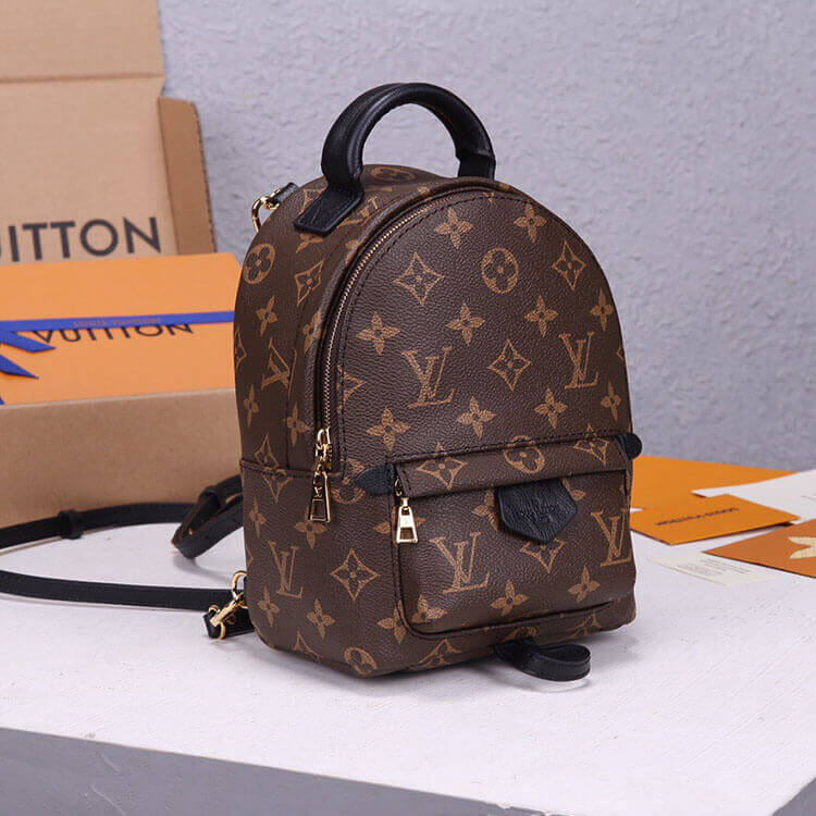 LV Palm Springs Mini Backpack 4 LV Palm Springs Mini Backpack - Image 4