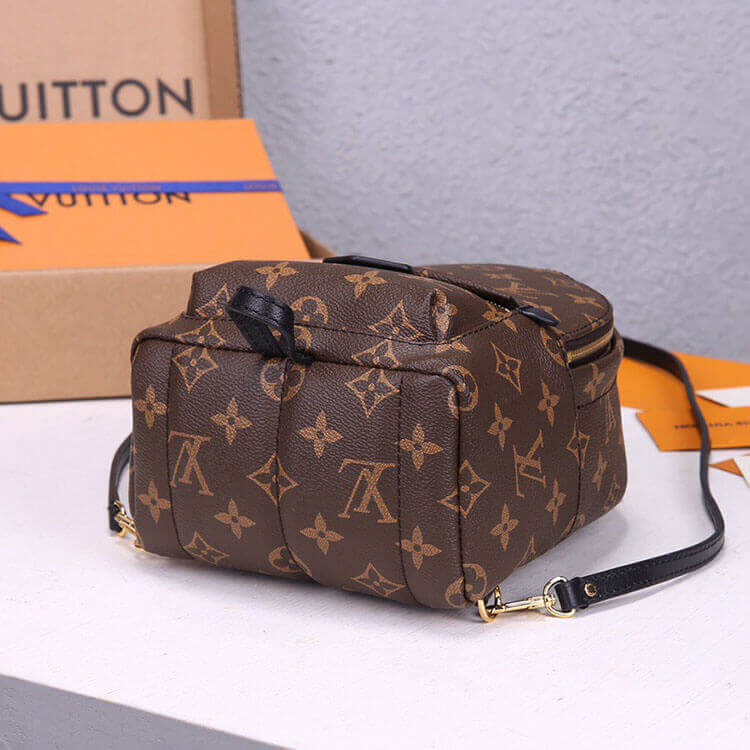 LV Palm Springs Mini Backpack 5 LV Palm Springs Mini Backpack - Image 5
