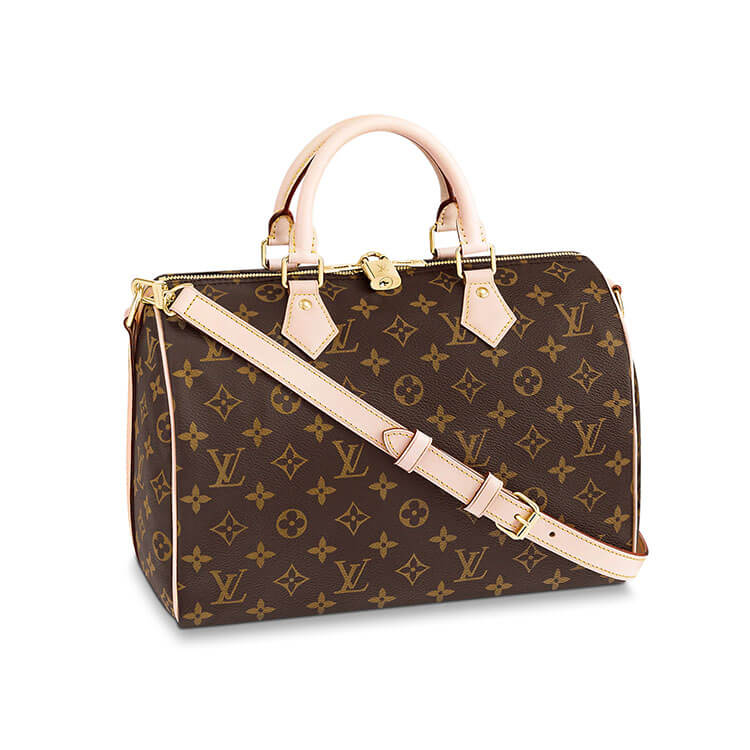 LV Speedy Bandouliere 30 Handbag 1 LV Speedy Bandouliere 30 Handbag