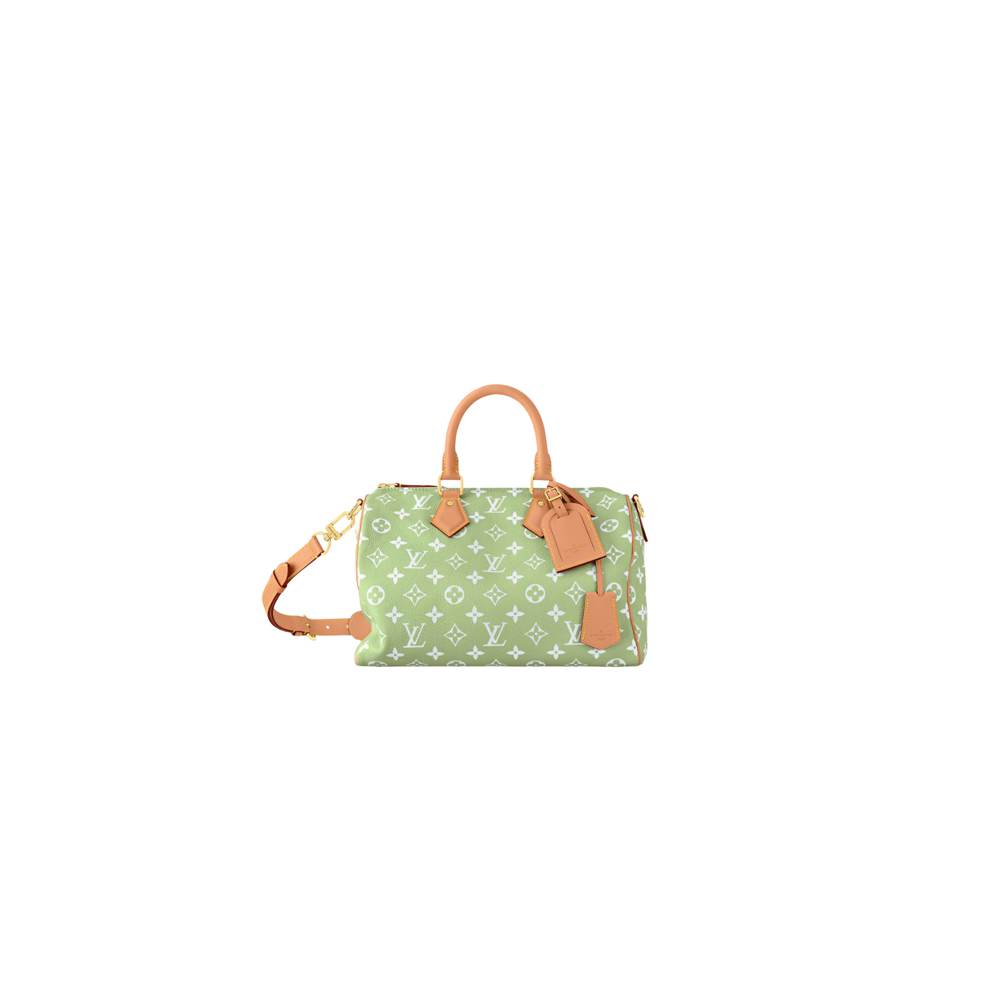 LV Speedy P9 Bandoulière 30(high-end grade) 1 LV Speedy P9 Bandoulière 30(high-end grade)