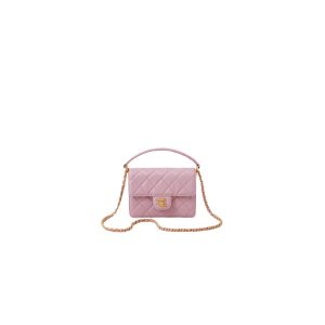 Chanel Small Handbag(high-end grade)