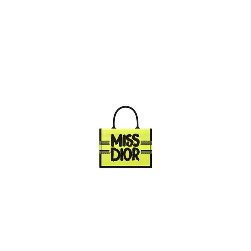 Small Dior Book Tote