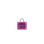 Small Dior Book Tote