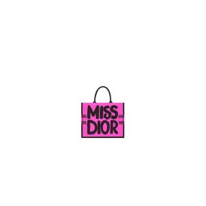 Small Dior Book Tote