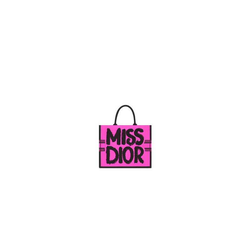 Small Dior Book Tote