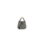 Medium Dior Nolita Bag