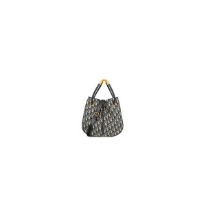 Medium Dior Nolita Bag